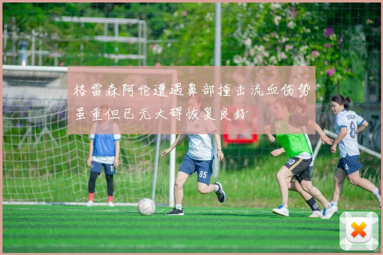 格雷森阿伦遭遇鼻部撞击流血伤势虽重但已无大碍恢复良好